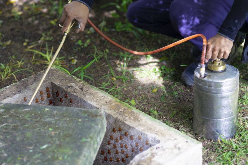 Fumigation Service Near Me