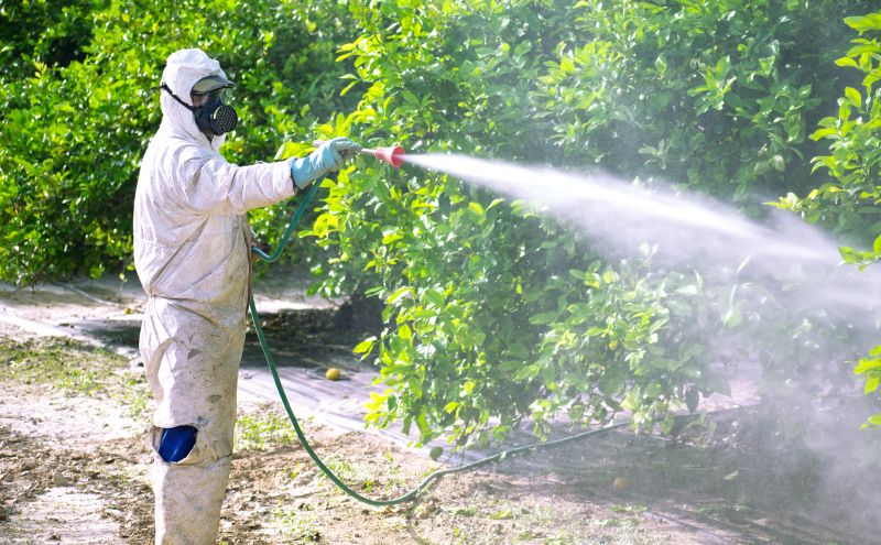 Fumigation Service Near Me