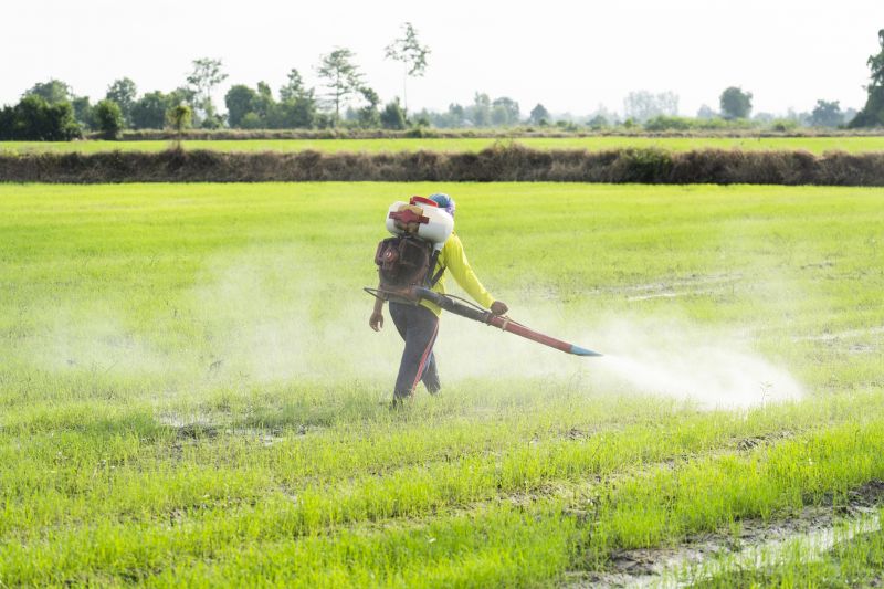 Fumigation Service Near Me
