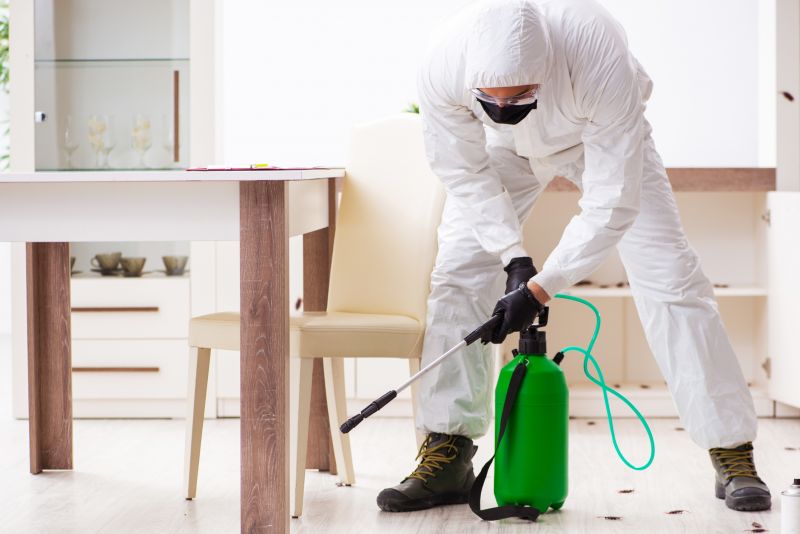 Fumigation Service Near Me detail