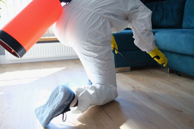 Spider Fumigation Service in Coeur D Alene, ID