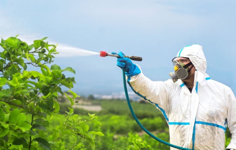 Fumigation Service in Madison, WI